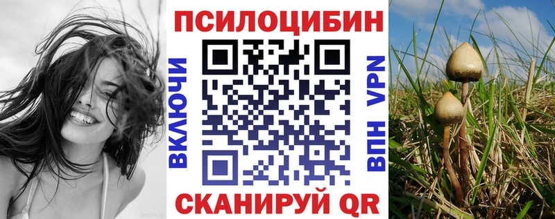 магазин  наркотиков  Калуга  Псилоцибиновые грибы ЛСД 