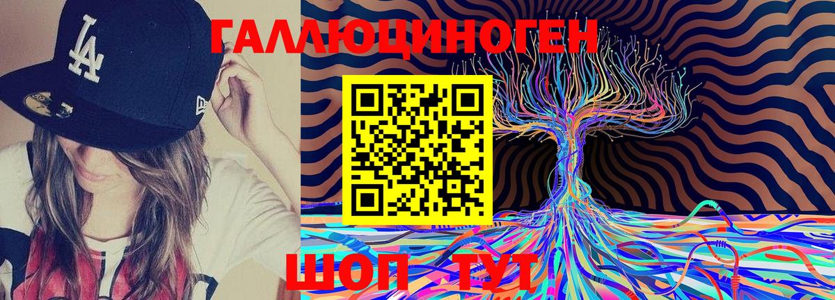 Псилоцибиновые грибы Psilocybe  Вход с VPN  Калуга 